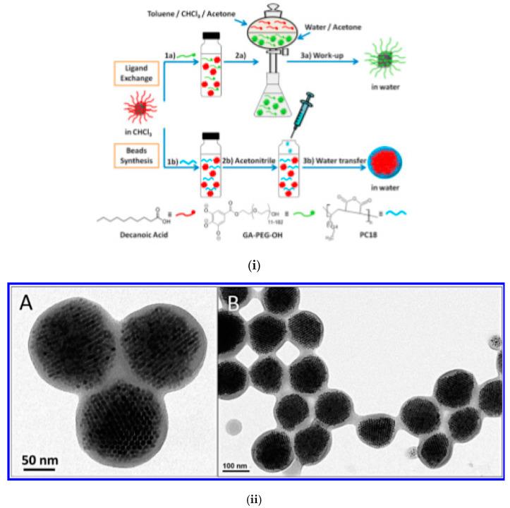 https://cdn.ncbi.nlm.nih.gov/pmc/blobs/73bf/7692798/0847bdead16c/nanomaterials-10-02178-g004a.jpg