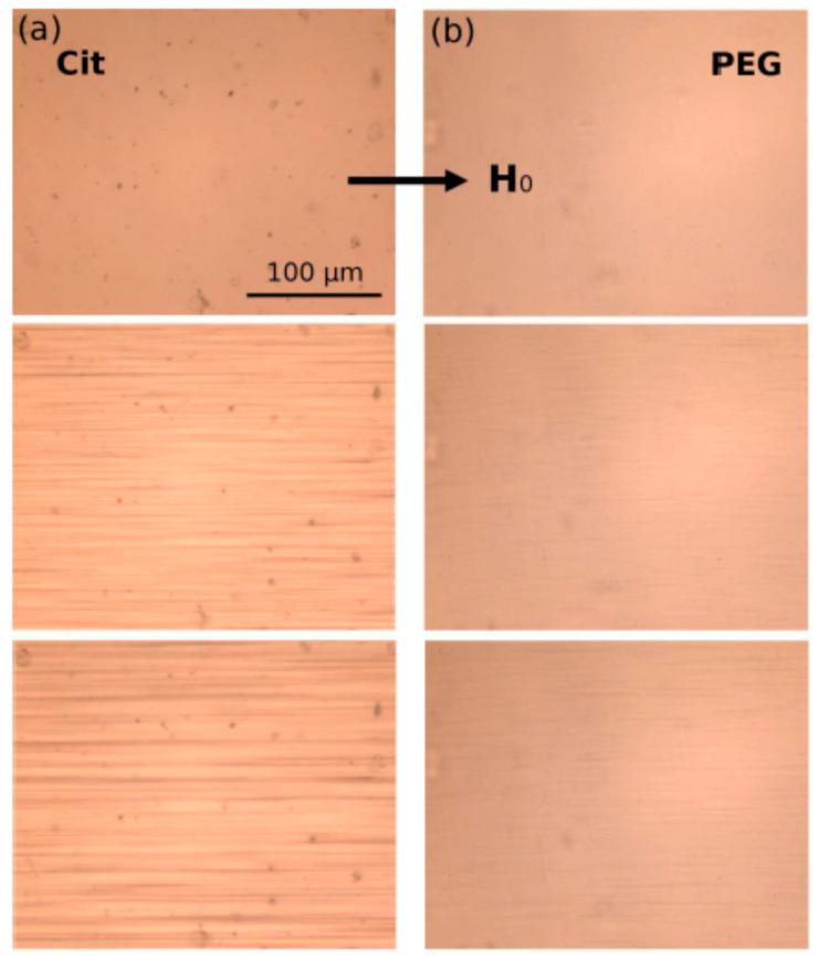 https://cdn.ncbi.nlm.nih.gov/pmc/blobs/73bf/7692798/16bce9af6bc3/nanomaterials-10-02178-g028.jpg