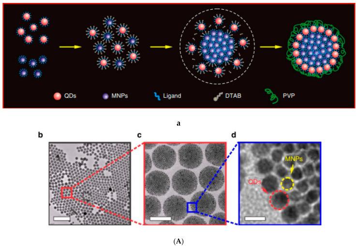https://cdn.ncbi.nlm.nih.gov/pmc/blobs/73bf/7692798/1be2703b1b94/nanomaterials-10-02178-g003a.jpg