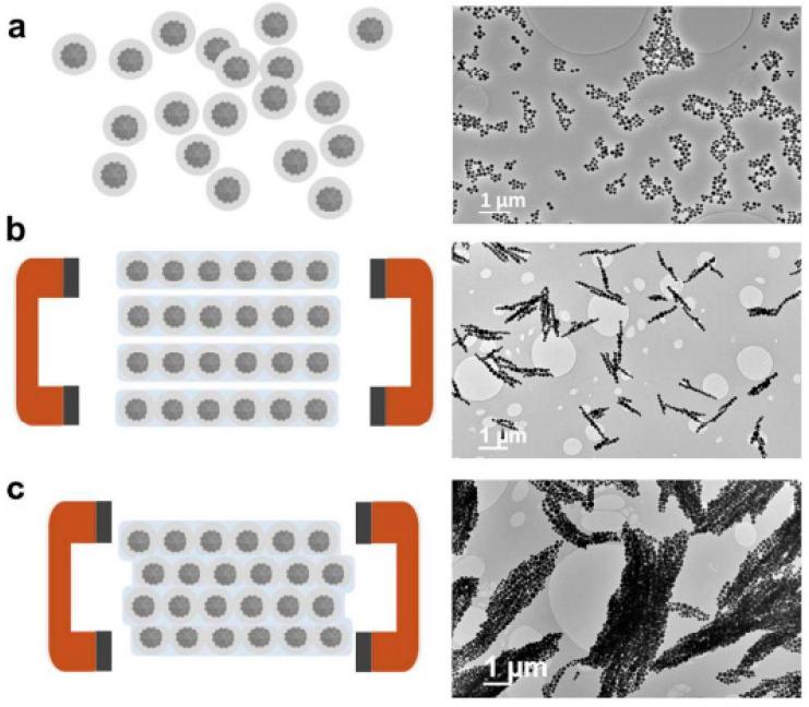 https://cdn.ncbi.nlm.nih.gov/pmc/blobs/73bf/7692798/4ff41ddc49f2/nanomaterials-10-02178-g009.jpg