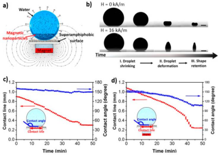 https://cdn.ncbi.nlm.nih.gov/pmc/blobs/73bf/7692798/677e9a2ab03e/nanomaterials-10-02178-g008.jpg