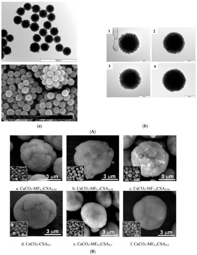 https://cdn.ncbi.nlm.nih.gov/pmc/blobs/73bf/7692798/ac2896dbabfe/nanomaterials-10-02178-g007.jpg