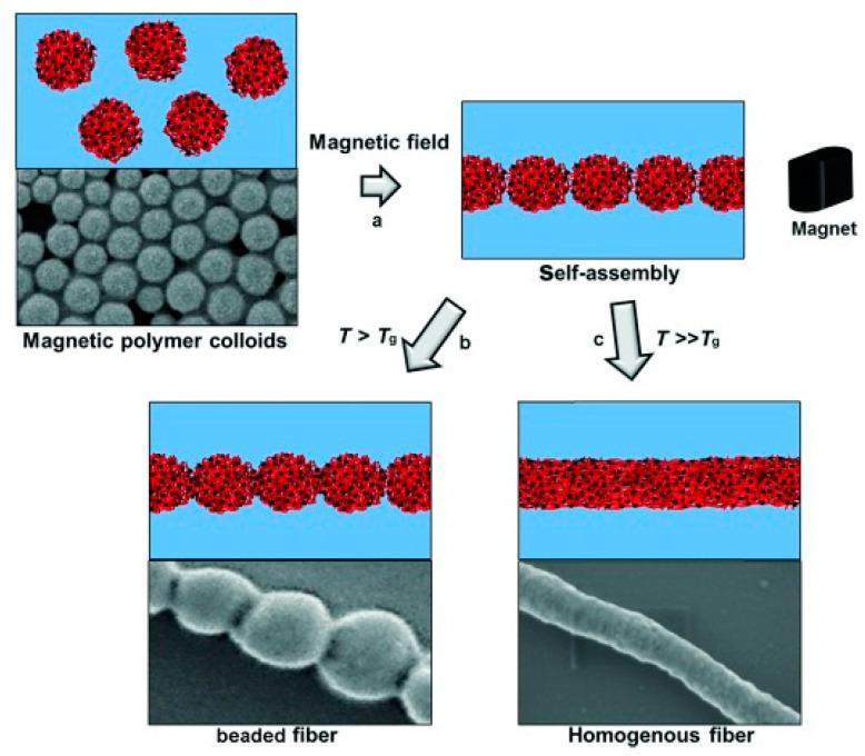 https://cdn.ncbi.nlm.nih.gov/pmc/blobs/73bf/7692798/b1125ca9299a/nanomaterials-10-02178-g010.jpg
