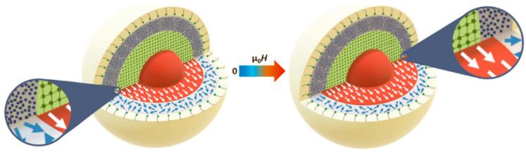 https://cdn.ncbi.nlm.nih.gov/pmc/blobs/73bf/7692798/f8260c6f8e0a/nanomaterials-10-02178-g017.jpg