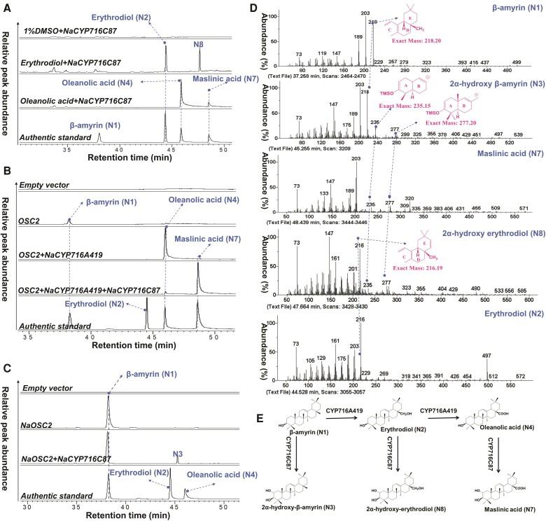 https://cdn.ncbi.nlm.nih.gov/pmc/blobs/73c0/11444297/9bcd0875f9a1/kiae399f3.jpg