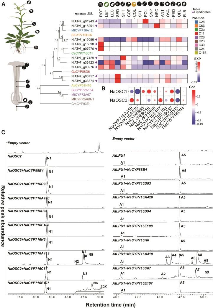 https://cdn.ncbi.nlm.nih.gov/pmc/blobs/73c0/11444297/c8c4f4360607/kiae399f1.jpg