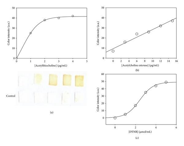https://cdn.ncbi.nlm.nih.gov/pmc/blobs/73c0/3736481/84fe07af98f7/JAMC2013-932946.003.jpg