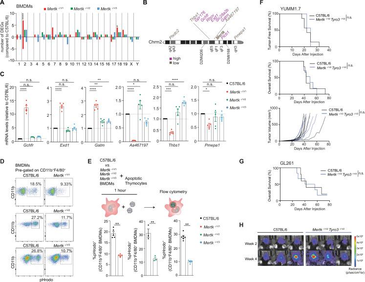 https://cdn.ncbi.nlm.nih.gov/pmc/blobs/73c3/9433089/3f7a10755226/elife-80530-fig6.jpg