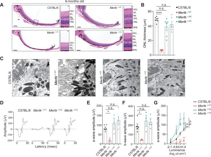 https://cdn.ncbi.nlm.nih.gov/pmc/blobs/73c3/9433089/4f21b031f305/elife-80530-fig2.jpg