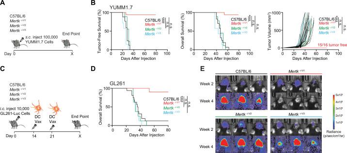 https://cdn.ncbi.nlm.nih.gov/pmc/blobs/73c3/9433089/f805447fe071/elife-80530-fig5.jpg