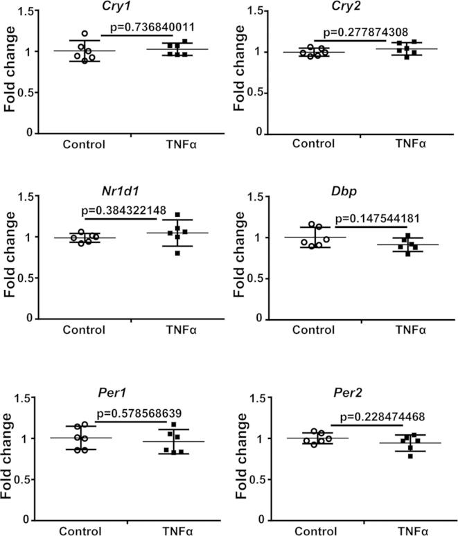 https://cdn.ncbi.nlm.nih.gov/pmc/blobs/73c4/4638193/3924db4cf975/figs4.jpg