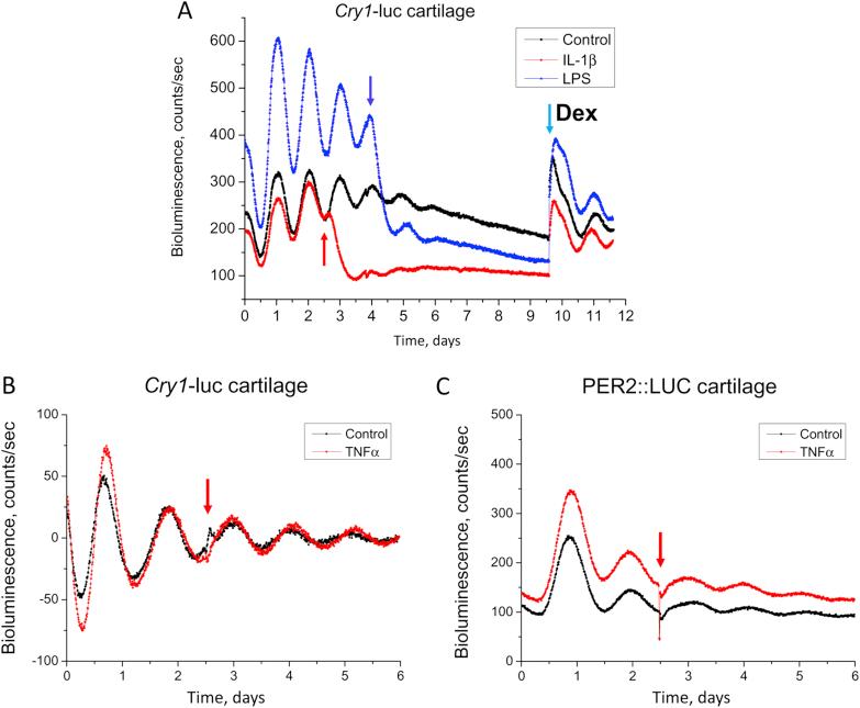 https://cdn.ncbi.nlm.nih.gov/pmc/blobs/73c4/4638193/72ba9bdb8b63/gr1.jpg
