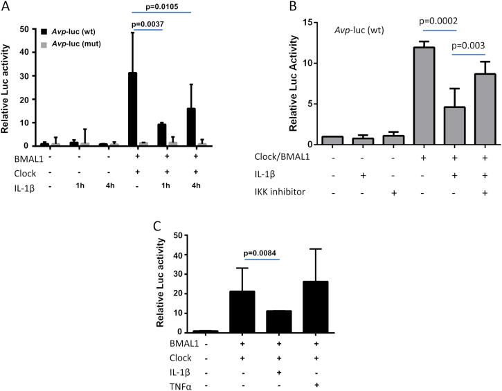 https://cdn.ncbi.nlm.nih.gov/pmc/blobs/73c4/4638193/a54cbac52ef9/gr5.jpg