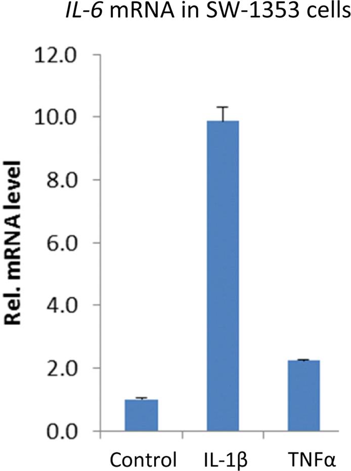 https://cdn.ncbi.nlm.nih.gov/pmc/blobs/73c4/4638193/b0e6e8d5fdfd/figs5.jpg