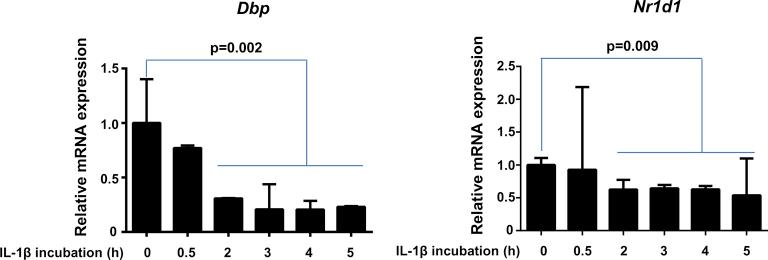 https://cdn.ncbi.nlm.nih.gov/pmc/blobs/73c4/4638193/bf8b1c51de57/figs3.jpg