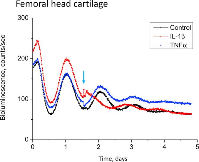 https://cdn.ncbi.nlm.nih.gov/pmc/blobs/73c4/4638193/c1bde78e0edf/figs1.jpg