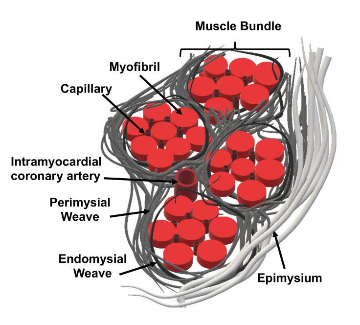 https://cdn.ncbi.nlm.nih.gov/pmc/blobs/73c4/7279389/65f993714aa4/ijms-21-03444-g007.jpg