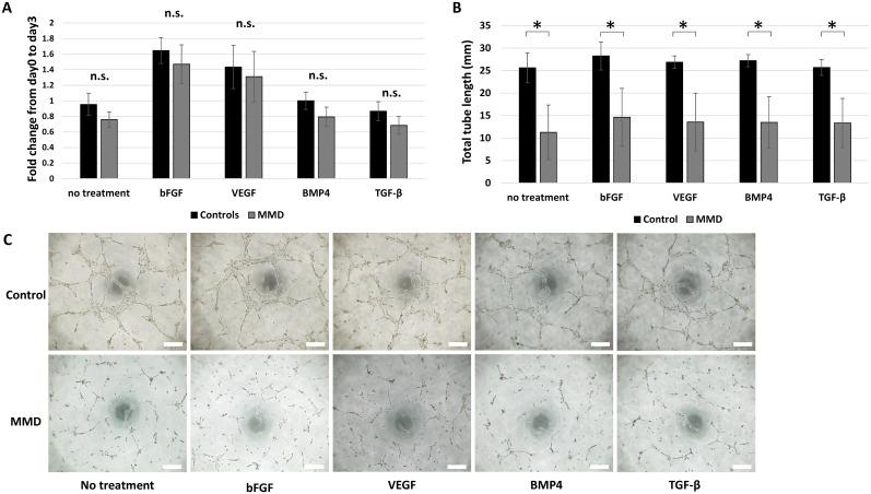 https://cdn.ncbi.nlm.nih.gov/pmc/blobs/73c6/5035048/0426d2ea4757/pone.0163561.g003.jpg