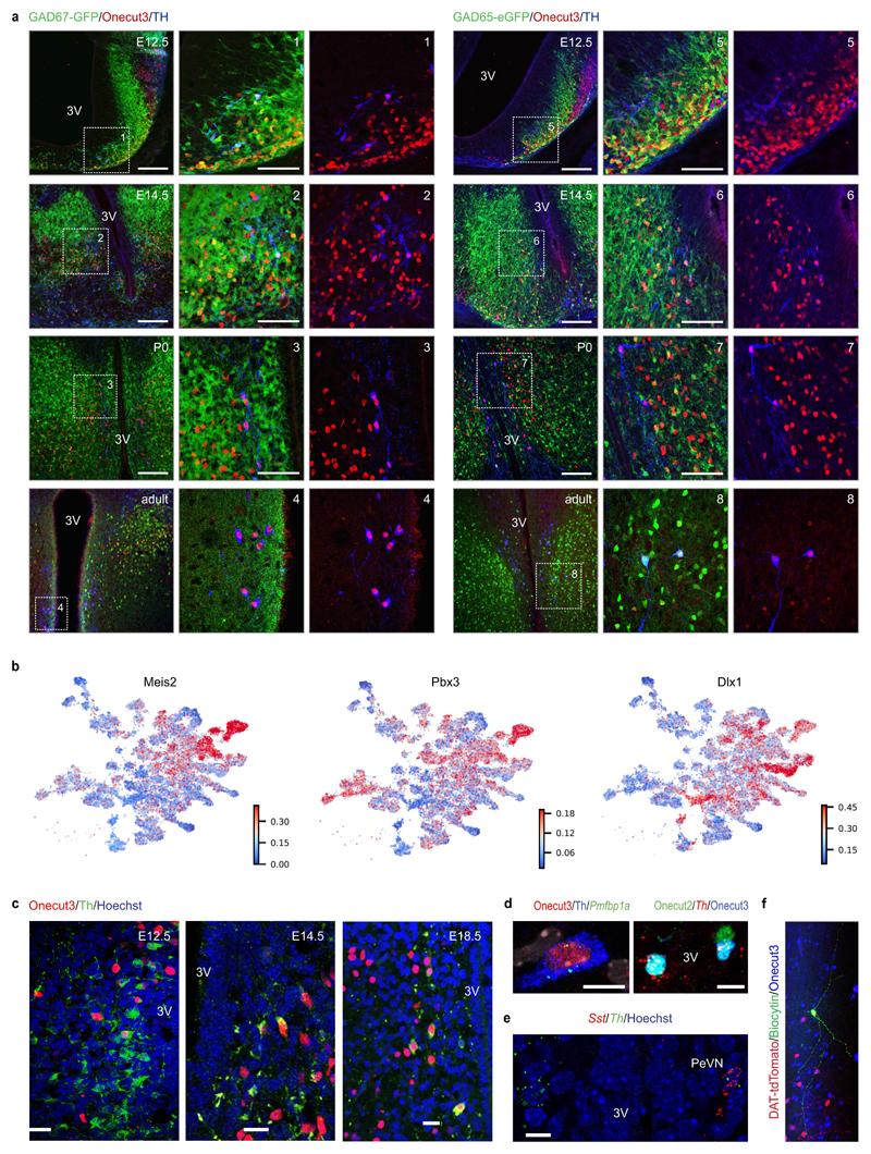 https://cdn.ncbi.nlm.nih.gov/pmc/blobs/73c7/7292733/1c02223ba894/EMS85981-f014.jpg