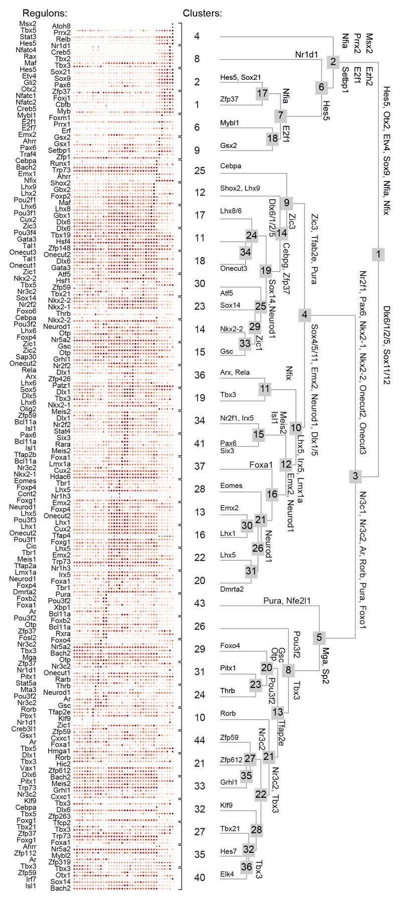 https://cdn.ncbi.nlm.nih.gov/pmc/blobs/73c7/7292733/39ddbbd8de05/EMS85981-f008.jpg