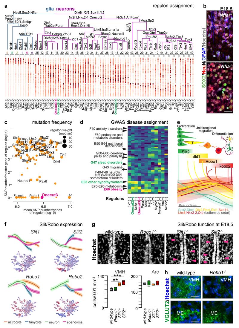 https://cdn.ncbi.nlm.nih.gov/pmc/blobs/73c7/7292733/ab64c86ca9cc/EMS85981-f003.jpg