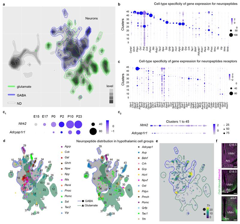 https://cdn.ncbi.nlm.nih.gov/pmc/blobs/73c7/7292733/fdfa708f48c4/EMS85981-f007.jpg
