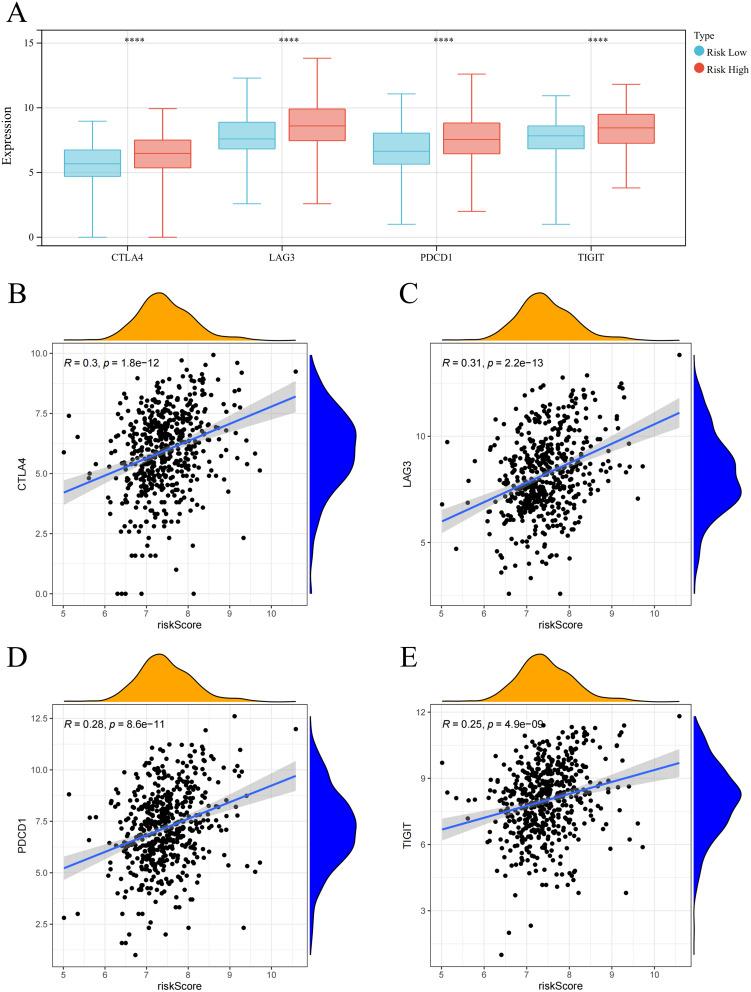 https://cdn.ncbi.nlm.nih.gov/pmc/blobs/73c9/12109615/84996047e5fd/IJGM-18-2687-g0006.jpg