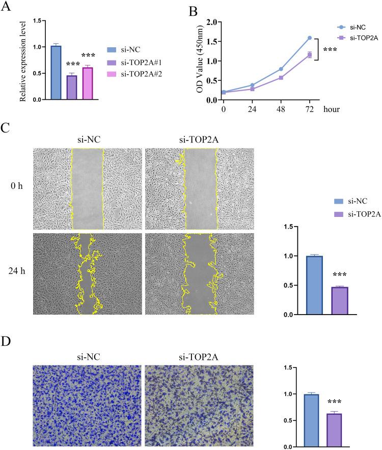 https://cdn.ncbi.nlm.nih.gov/pmc/blobs/73c9/12109615/a523a97ee2d9/IJGM-18-2687-g0009.jpg