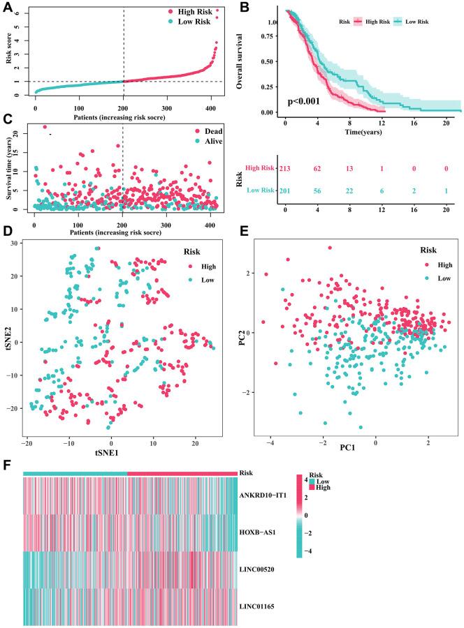 https://cdn.ncbi.nlm.nih.gov/pmc/blobs/73ca/10866411/1953952ec880/aging-16-205399-g002.jpg