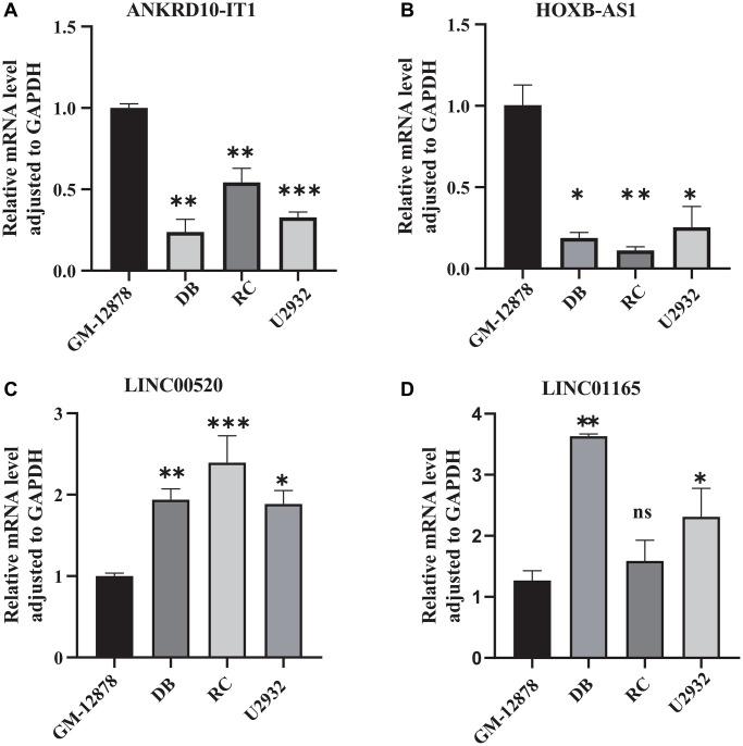 https://cdn.ncbi.nlm.nih.gov/pmc/blobs/73ca/10866411/e0434bcef573/aging-16-205399-g008.jpg