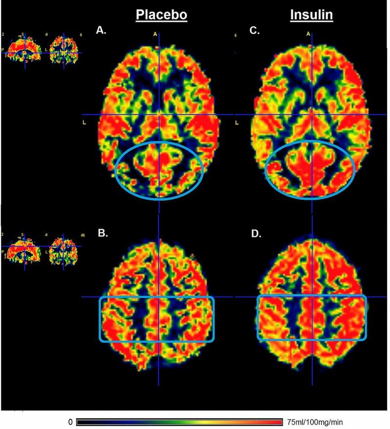 https://cdn.ncbi.nlm.nih.gov/pmc/blobs/73cc/5391232/387afa9f572b/aging-09-790-g002.jpg