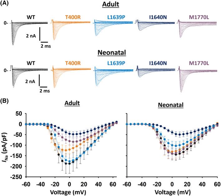 https://cdn.ncbi.nlm.nih.gov/pmc/blobs/73ce/11908663/446f77daa52b/EPI-66-914-g005.jpg