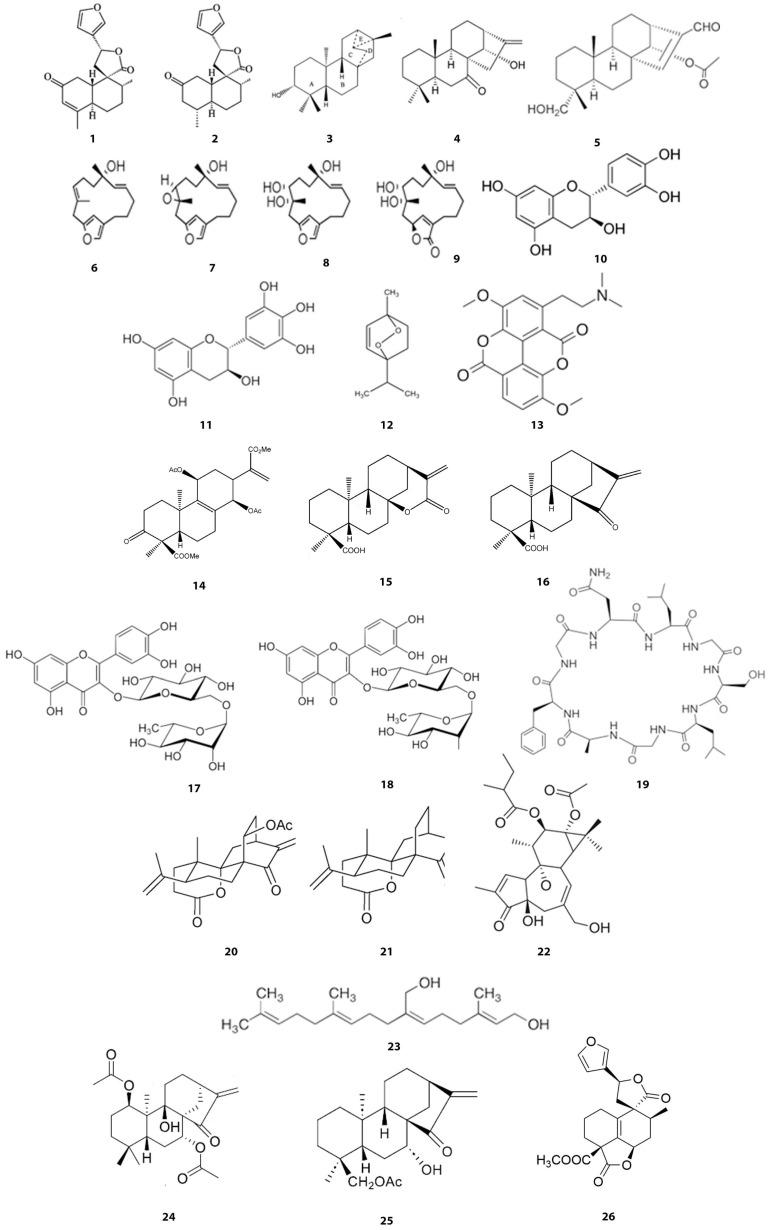 https://cdn.ncbi.nlm.nih.gov/pmc/blobs/73cf/12029420/88d589b52048/metabolites-15-00216-g003.jpg