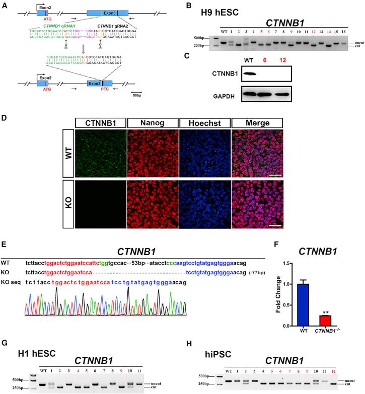 https://cdn.ncbi.nlm.nih.gov/pmc/blobs/73cf/5032288/0205ac0023e5/gr2.jpg