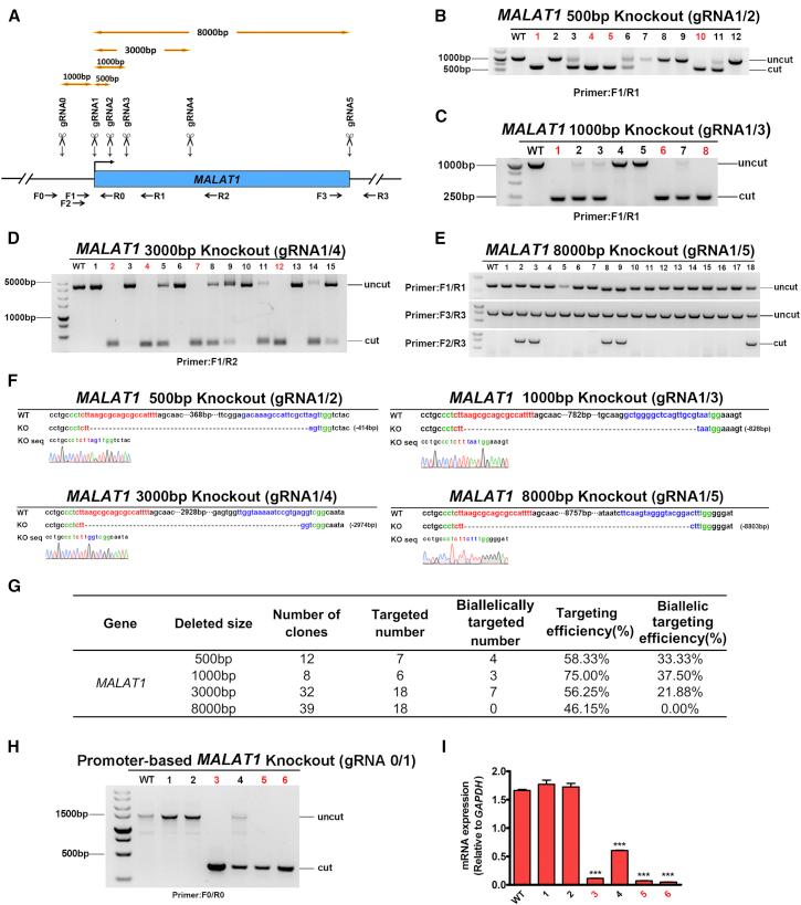 https://cdn.ncbi.nlm.nih.gov/pmc/blobs/73cf/5032288/5d3026b587ee/gr5.jpg