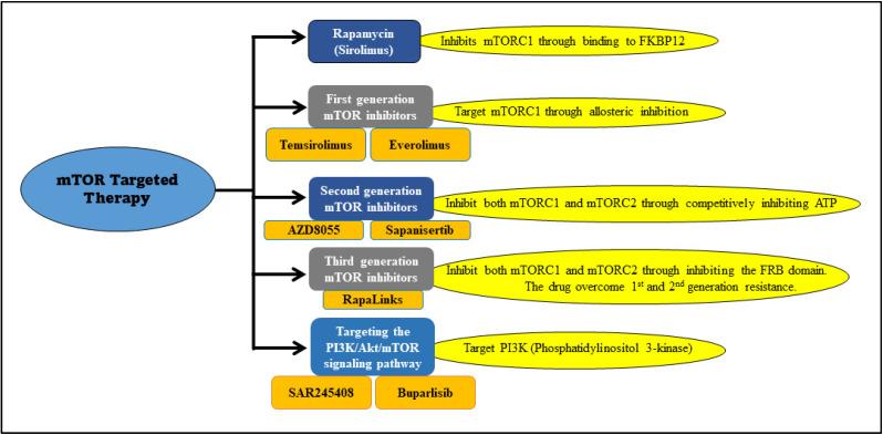 https://cdn.ncbi.nlm.nih.gov/pmc/blobs/73cf/8745694/d0967616e2de/ijms-23-00464-g003.jpg