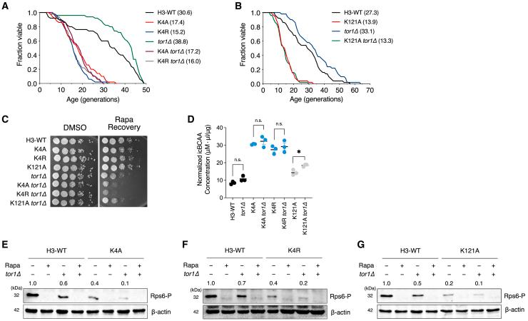 https://cdn.ncbi.nlm.nih.gov/pmc/blobs/73d2/12246581/4bdc9ba67b6d/gr6.jpg