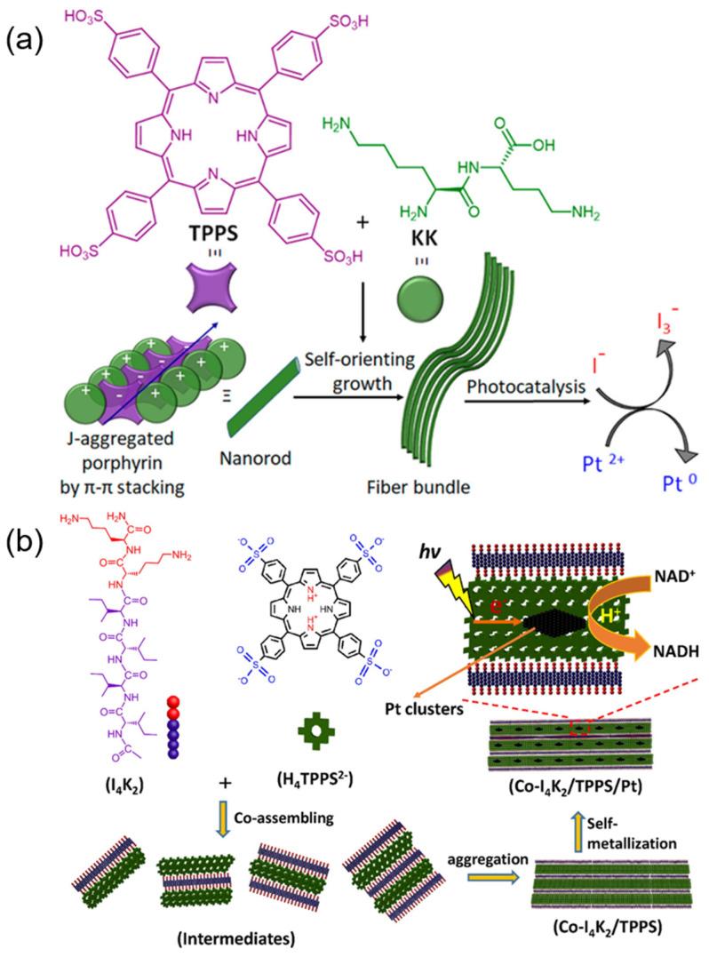 https://cdn.ncbi.nlm.nih.gov/pmc/blobs/73d4/11676642/d26152922e5f/molecules-29-06063-g006.jpg