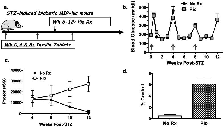 https://cdn.ncbi.nlm.nih.gov/pmc/blobs/73d6/3675063/893ba8f6ab30/pone.0065777.g002.jpg