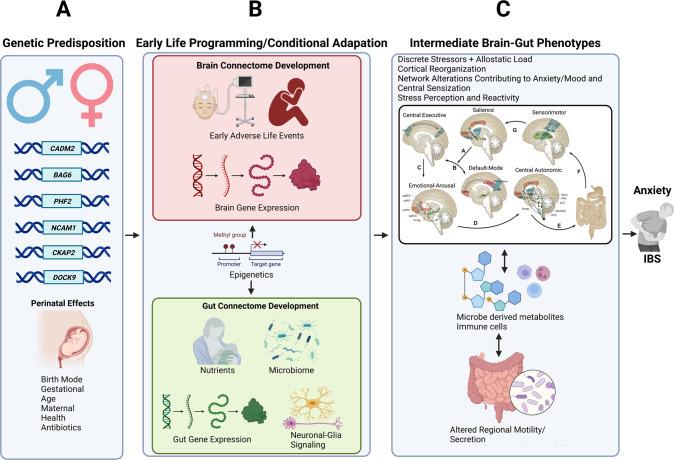 https://cdn.ncbi.nlm.nih.gov/pmc/blobs/73d7/10208985/4c655f1a0551/41380_2023_1972_Fig3_HTML.jpg