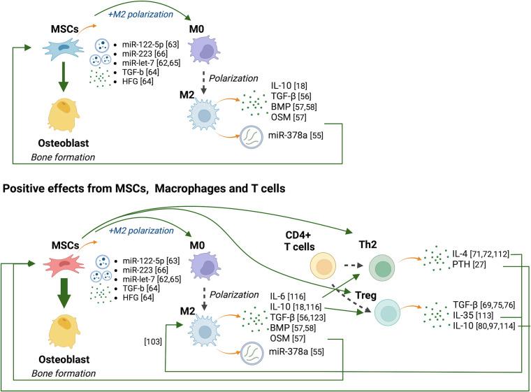 https://cdn.ncbi.nlm.nih.gov/pmc/blobs/73d7/11377107/3d5cb6314a57/BJR-2024-0122.R1-galleyfig4.jpg