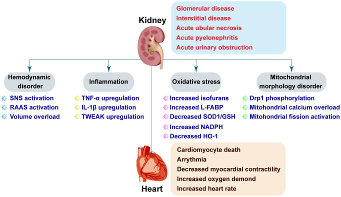 https://cdn.ncbi.nlm.nih.gov/pmc/blobs/73d7/7343447/7688ac5728a1/aging-12-103354-g001.jpg