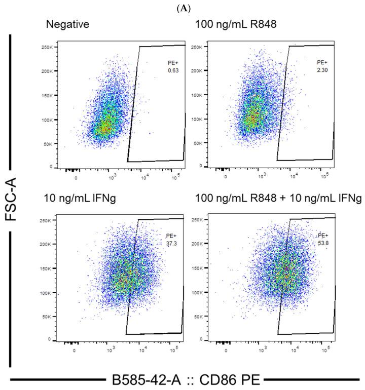 https://cdn.ncbi.nlm.nih.gov/pmc/blobs/73da/10224459/517b1592d3bd/viruses-15-01198-g003a.jpg