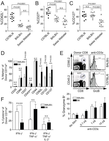 https://cdn.ncbi.nlm.nih.gov/pmc/blobs/73dc/2904779/582250479482/ppat.1000998.g006.jpg