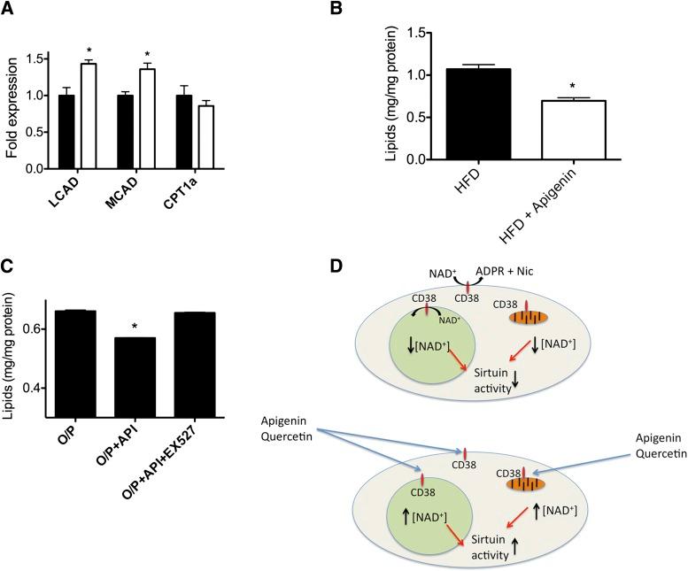 https://cdn.ncbi.nlm.nih.gov/pmc/blobs/73dc/3609577/ef2fe64837be/1084fig8.jpg