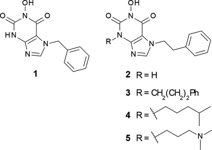 https://cdn.ncbi.nlm.nih.gov/pmc/blobs/73dd/6443996/b53221b31479/FEB4-9-717-g001.jpg