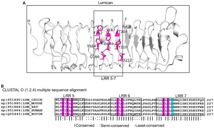 https://cdn.ncbi.nlm.nih.gov/pmc/blobs/73df/10573802/ec94cd31a238/ijms-24-14990-g005.jpg