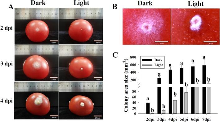 https://cdn.ncbi.nlm.nih.gov/pmc/blobs/73e3/12205212/c4b39f313e2a/FSN3-13-e70396-g003.jpg