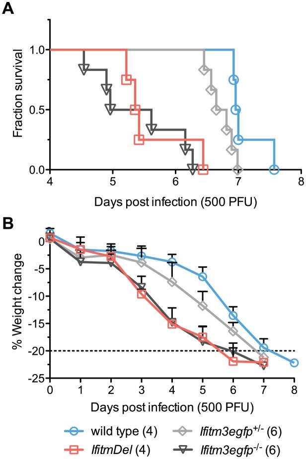 https://cdn.ncbi.nlm.nih.gov/pmc/blobs/73e4/3435252/a26187183d2b/ppat.1002909.g002.jpg