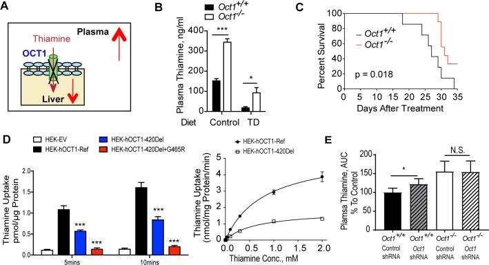 https://cdn.ncbi.nlm.nih.gov/pmc/blobs/73e4/5919692/86650bf8e974/pbio.2002907.g003.jpg